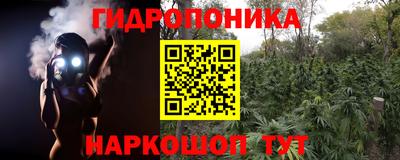 стафф Рузаевка